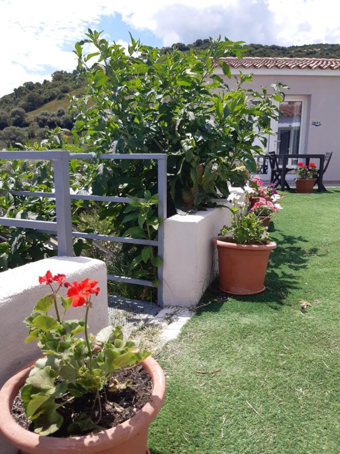 Sole&Sale Bed & Breakfast San Teodoro  Ngoại thất bức ảnh