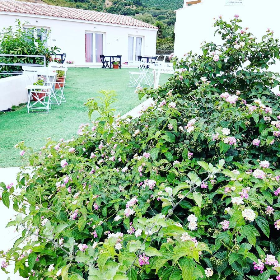 Sole&Sale Bed & Breakfast San Teodoro  Ngoại thất bức ảnh