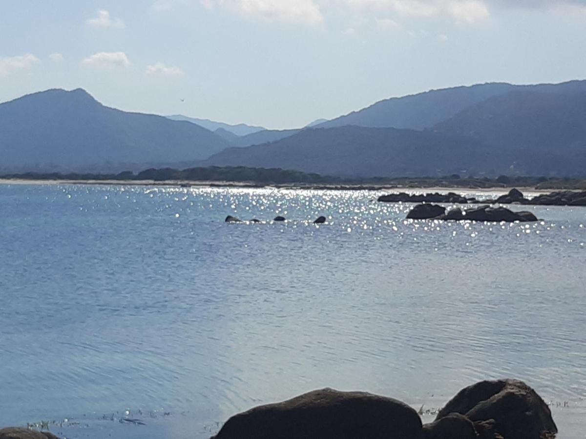 Sole&Sale Bed & Breakfast San Teodoro  Ngoại thất bức ảnh