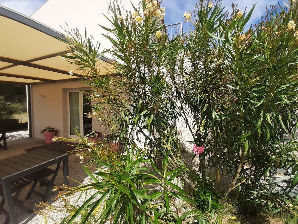 Sole&Sale Bed & Breakfast San Teodoro  Ngoại thất bức ảnh