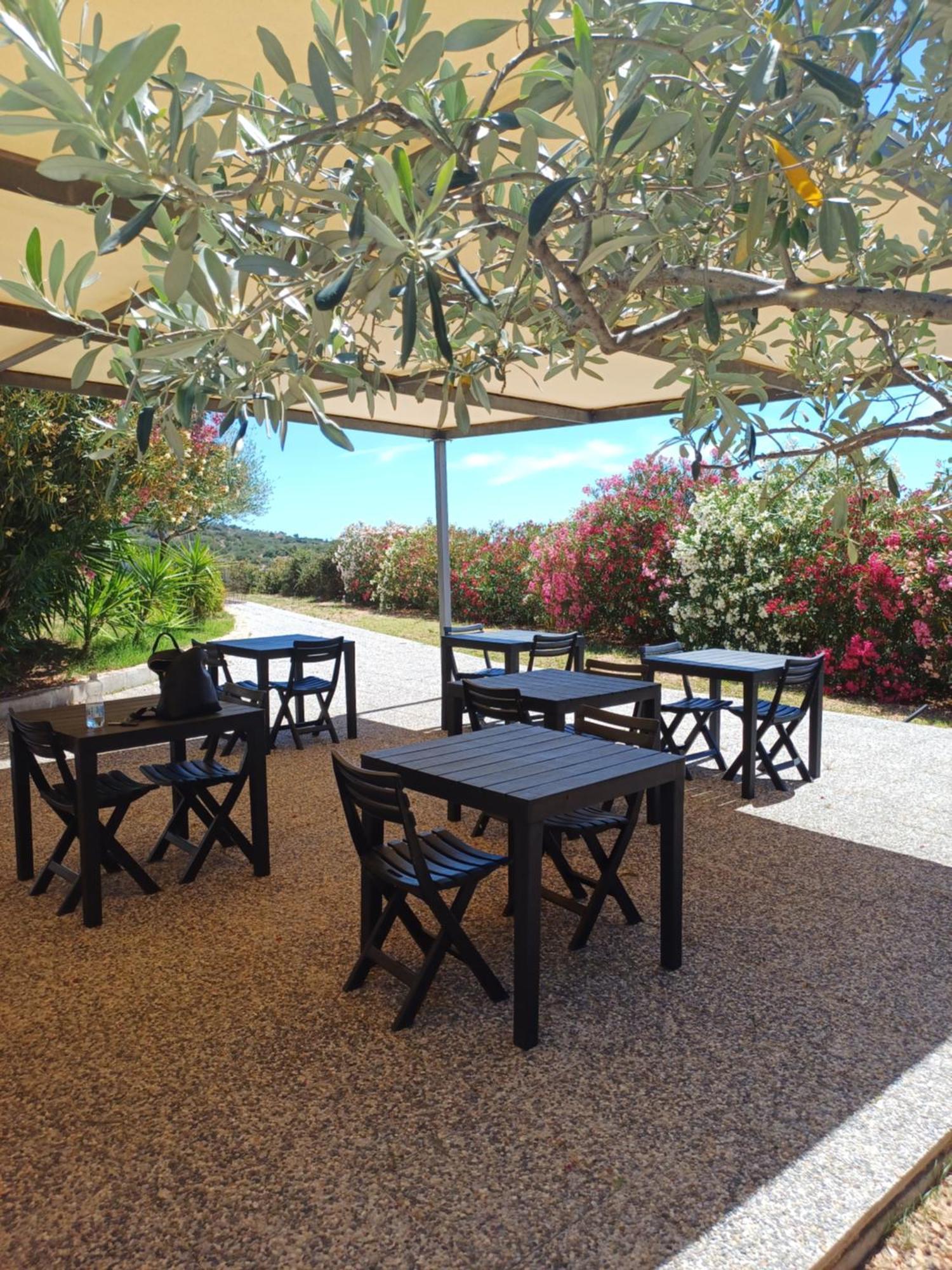 Sole&Sale Bed & Breakfast San Teodoro  Ngoại thất bức ảnh